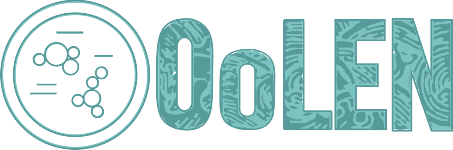 DEI survey for&nbsp;OoLEN