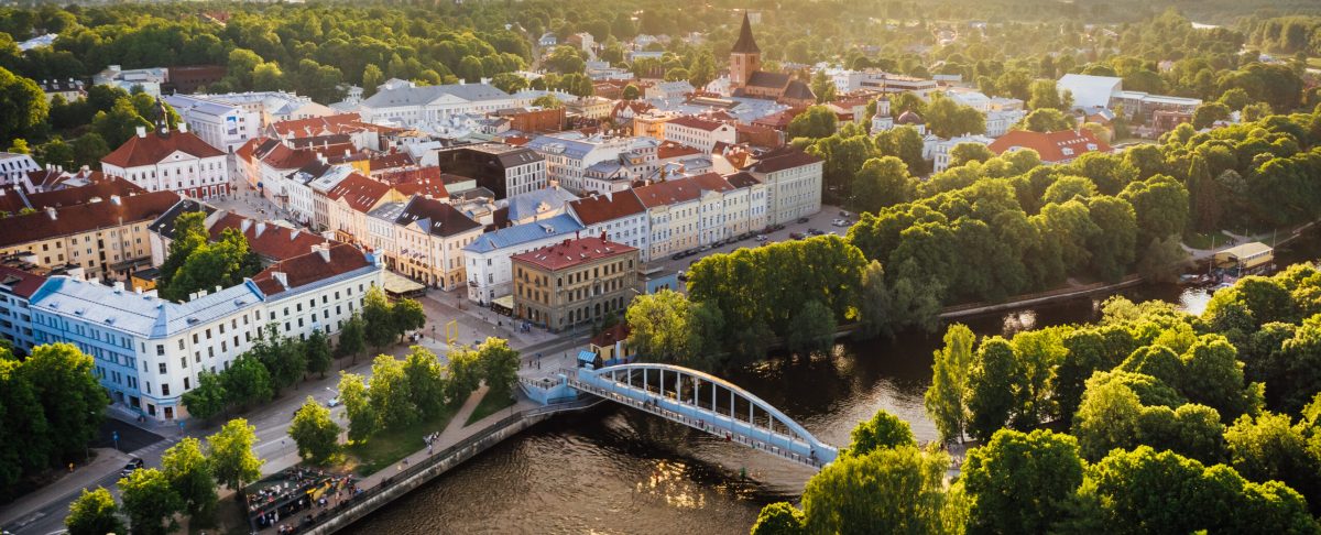 Summer School “Icy Bodies and Life” in Tartu,&nbsp;Estonia.